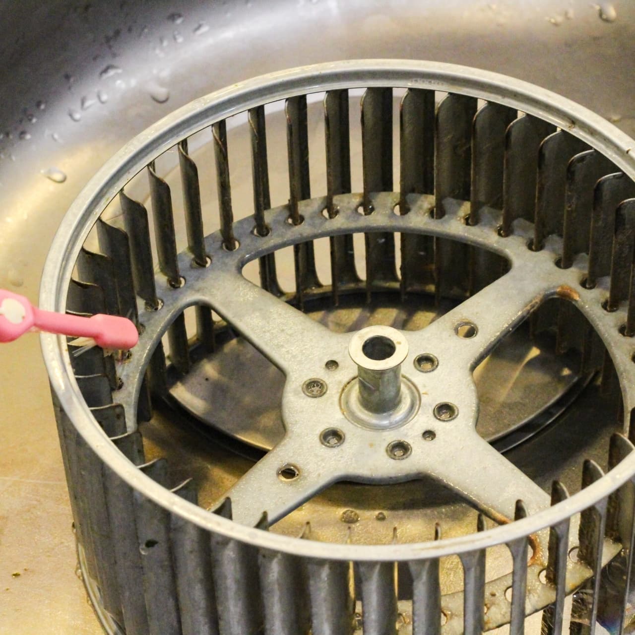 換気ファン清掃